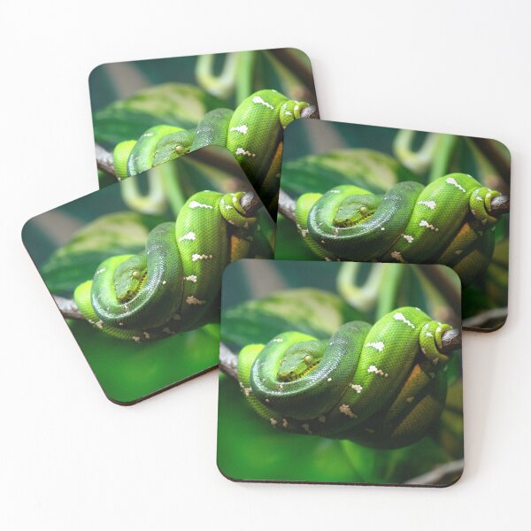 Item preview, Emerald Tree Boa designed and sold by JadeRiverImages.