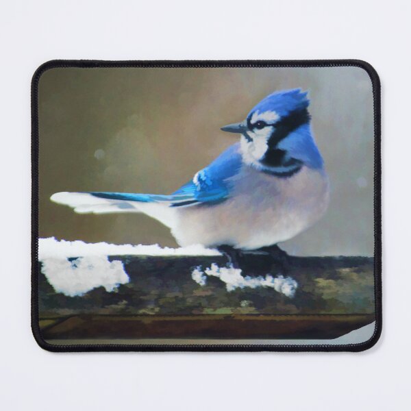Item preview, Blue Jay designed and sold by alpendesigns.