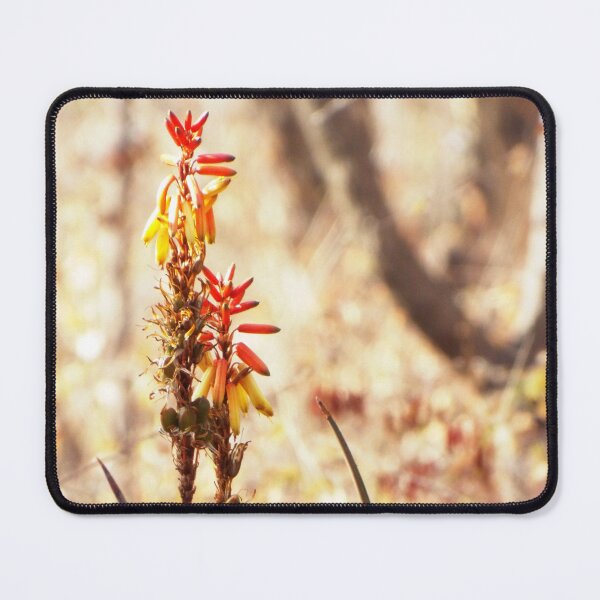 Item preview, Flower in Botswana designed and sold by MJPArtworks.