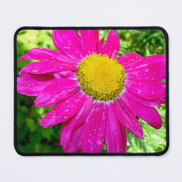 Item preview, Bright pink and yellow daisy in the rain designed and sold by GillianTapping.