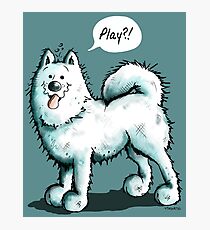 Happy Playing Samoyed Dog Photographic Print