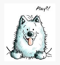 Playing Samoyed Dog Photographic Print
