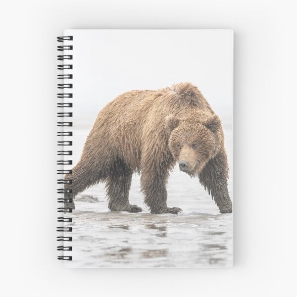 Item preview, A Fave Brown Bear Pose Alaska designed and sold by PhotoArt by Joan Carroll.