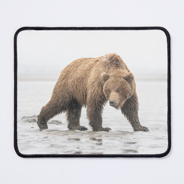 Item preview, A Fave Brown Bear Pose Alaska designed and sold by PhotoArt by Joan Carroll.