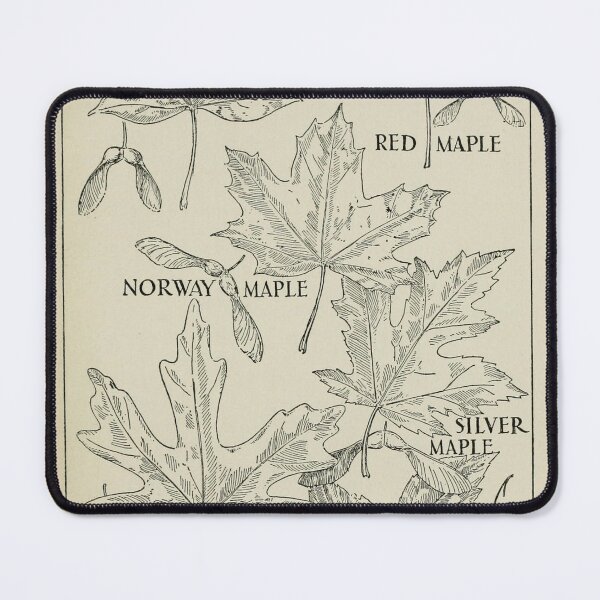 Item preview, Vintage maple leaf digital print designed and sold by dcrc.