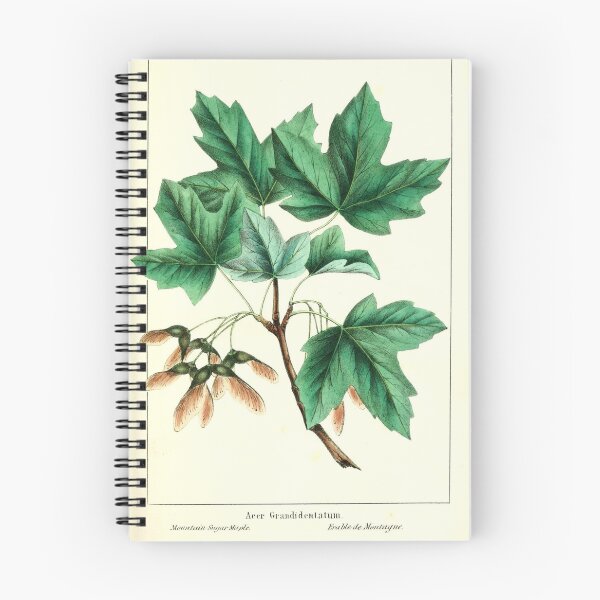 Item preview, Vintage Maple Leaf collage digital print designed and sold by dcrc.