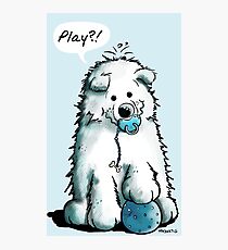 Happy Playing Samoyed Puppy Photographic Print