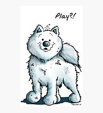 Fluffy Playing Samoyed Photographic Print
