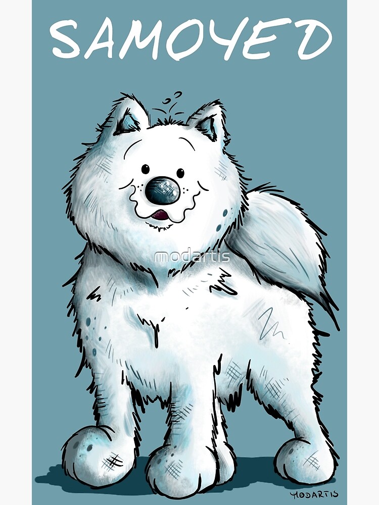 samoyed funny