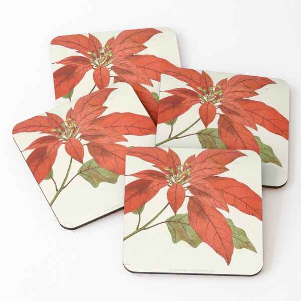 Item preview, Vintage poinsettia digital print designed and sold by dcrc.
