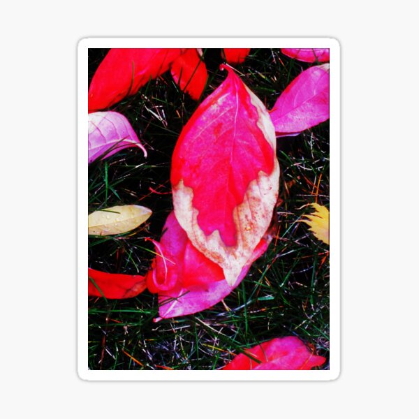Item preview, Fall Colors designed and sold by jparo4o8.