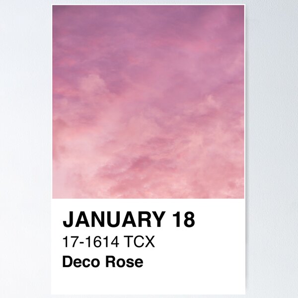 Pantone Canyon Rose 17-1520 Colour of The Day 08 January