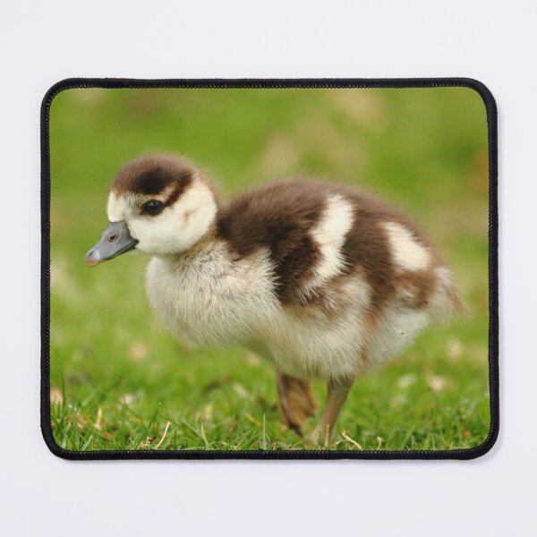 Item preview, The Goose! designed and sold by CBoyle.