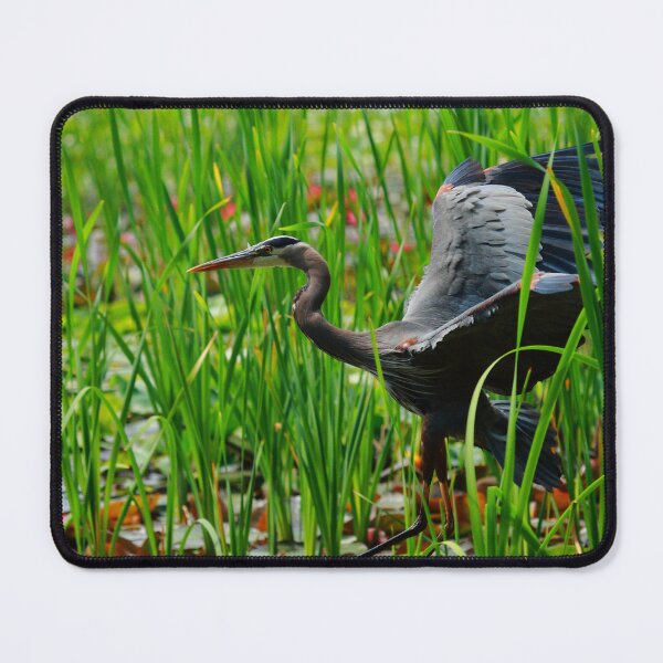 Item preview, Heron in flight designed and sold by CBoyle.