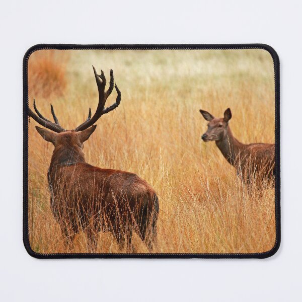 Item preview, Look Deer designed and sold by CBoyle.