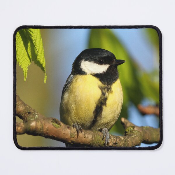 Item preview, Great Bird designed and sold by CBoyle.