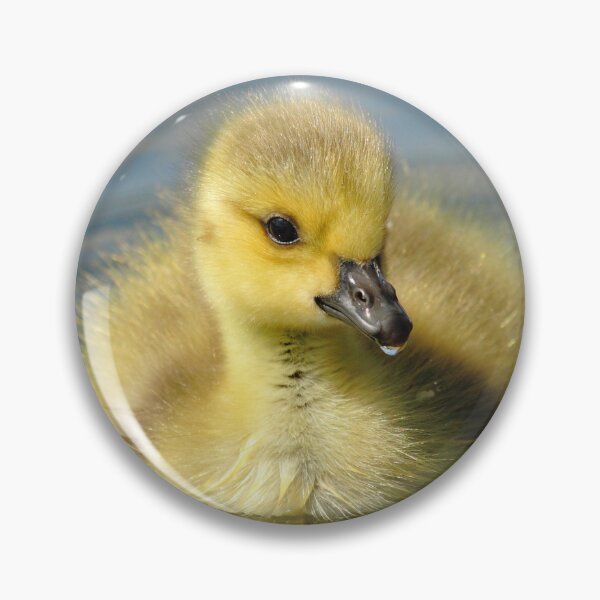 Item preview,  Goose on Water designed and sold by CBoyle.