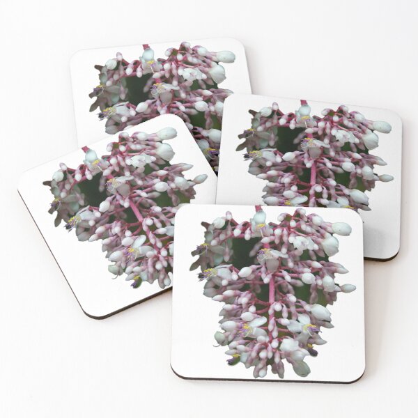 Item preview, flor rosa y blanca designed and sold by rinamg.