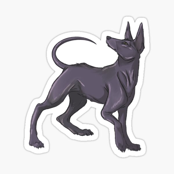 Item preview, perro sin pelo mexicano designed and sold by Lulume19.