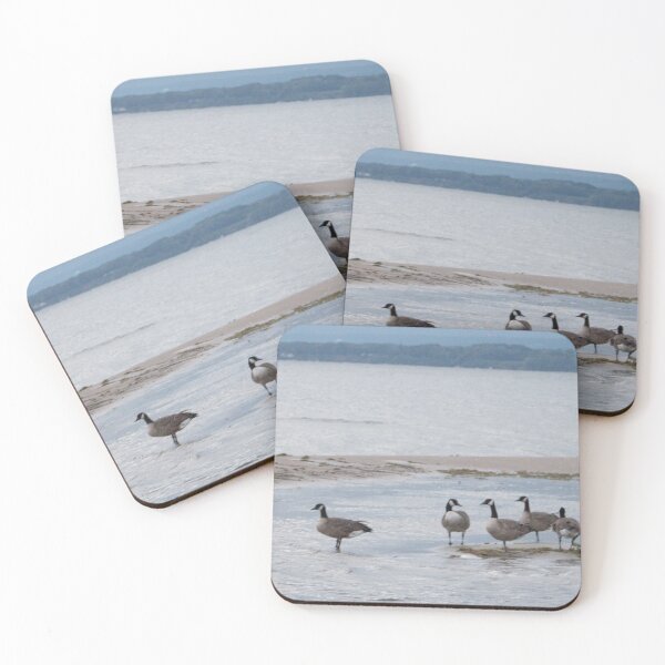 Item preview, Geese designed and sold by Donald Dandrea.