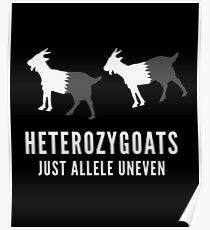 Hereozygoats gerade Allele uneinheitliche Ziegen-Genetik-Wissenschafts-Tiere lustiger Witz Poster