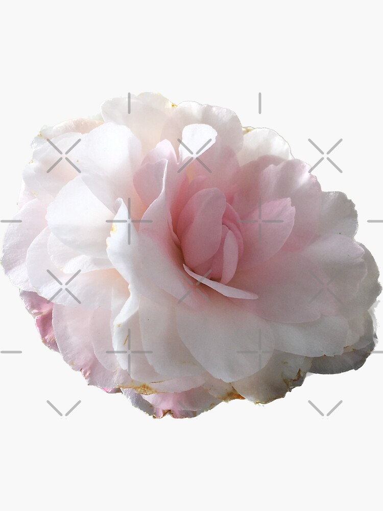 Thumbnail 3 of 3, Sticker, flower 01 designed and sold by mystudiocreate.