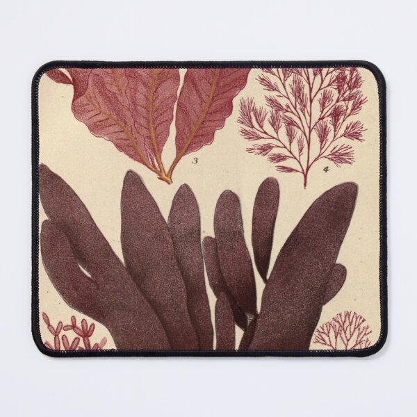 Item preview, Vintage seaweed digital print designed and sold by dcrc.