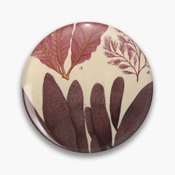 Item preview, Vintage seaweed digital print designed and sold by dcrc.
