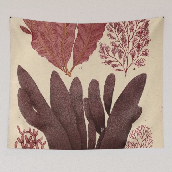 Item preview, Vintage seaweed digital print designed and sold by dcrc.