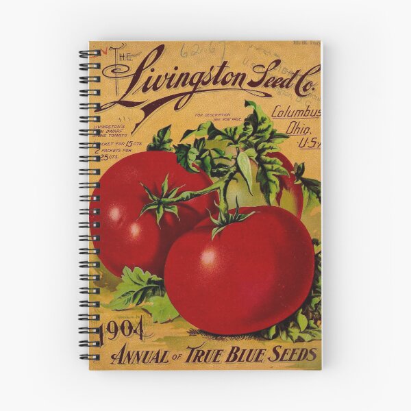 Item preview, Vintage tomato poster, digital print designed and sold by dcrc.