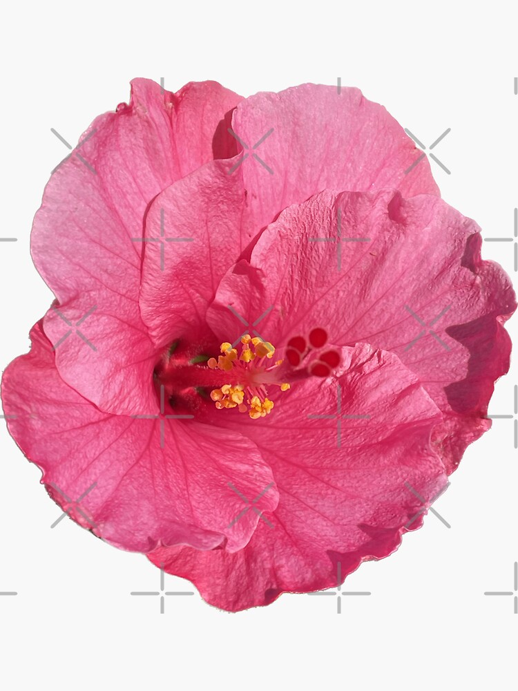 Thumbnail 3 of 3, Sticker, flower 07 designed and sold by mystudiocreate.