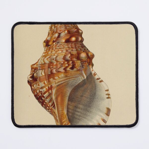 Item preview, Vintage seashell digital print designed and sold by dcrc.