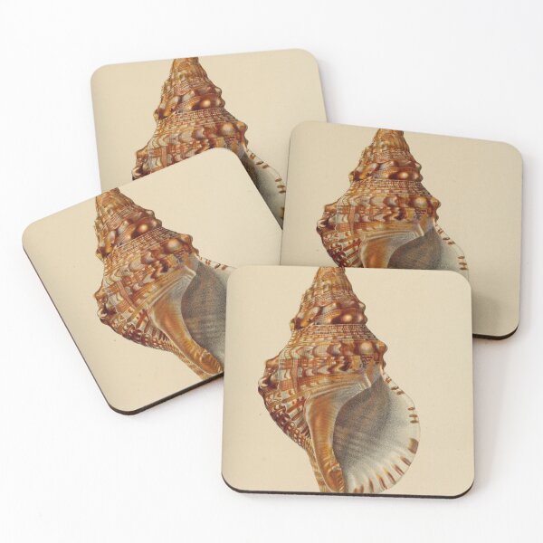 Item preview, Vintage seashell digital print designed and sold by dcrc.