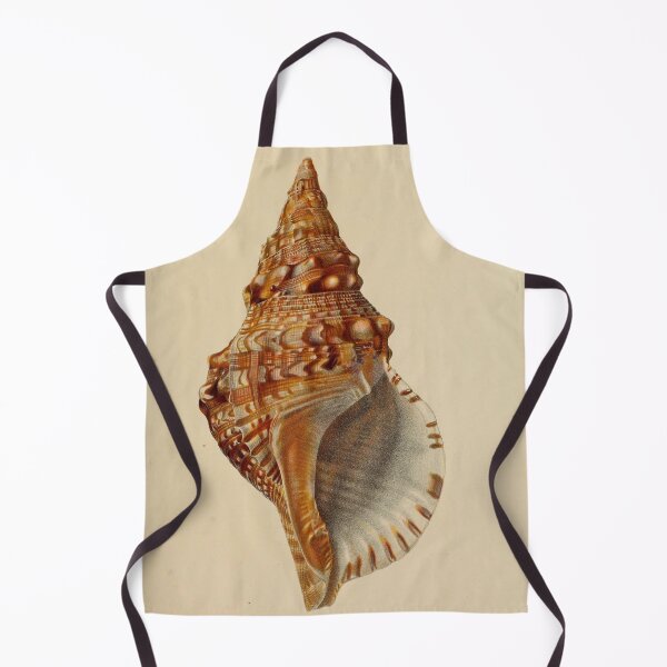 Item preview, Vintage seashell digital print designed and sold by dcrc.