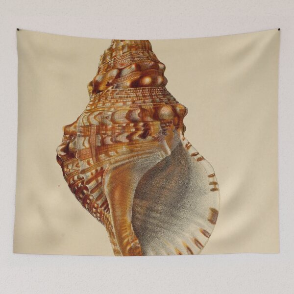 Item preview, Vintage seashell digital print designed and sold by dcrc.