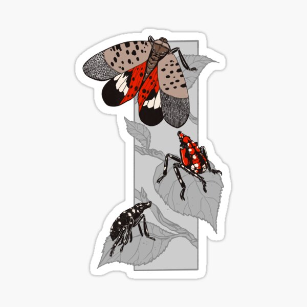 Item preview, The Spotted Lanternfly Triad designed and sold by R.J.MACC || Art and Design.