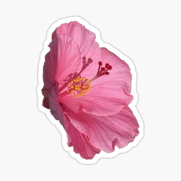 Item preview, flower 10 designed and sold by mystudiocreate.