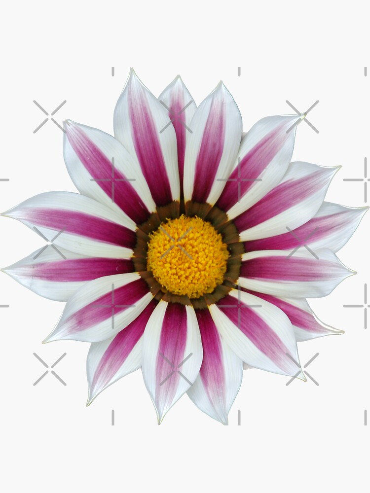 Thumbnail 3 of 3, Sticker, flower 11 designed and sold by mystudiocreate.