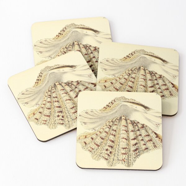 Item preview, Vintage seashell digital print designed and sold by dcrc.