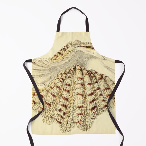 Item preview, Vintage seashell digital print designed and sold by dcrc.