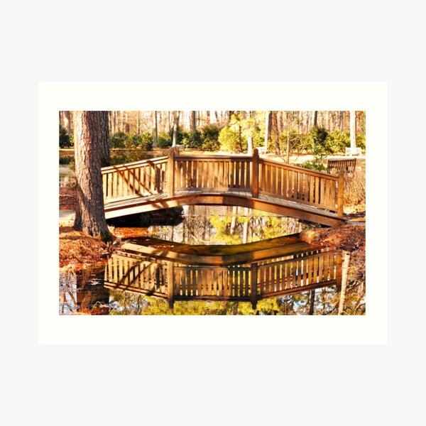 Over and Under Art Print