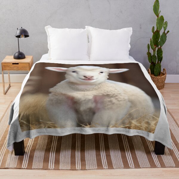 Item preview, Cute Baby Sheep - Cute Baby Animals  designed and sold by baby-animal-art.