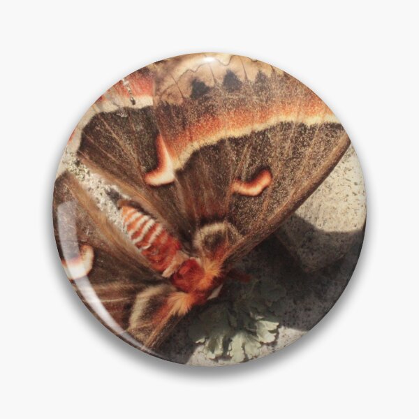 Item preview, Cecropia on Grave designed and sold by Eco-Artopia.
