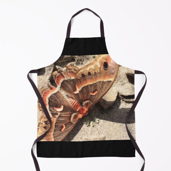 Item preview, Cecropia on Grave designed and sold by Eco-Artopia.