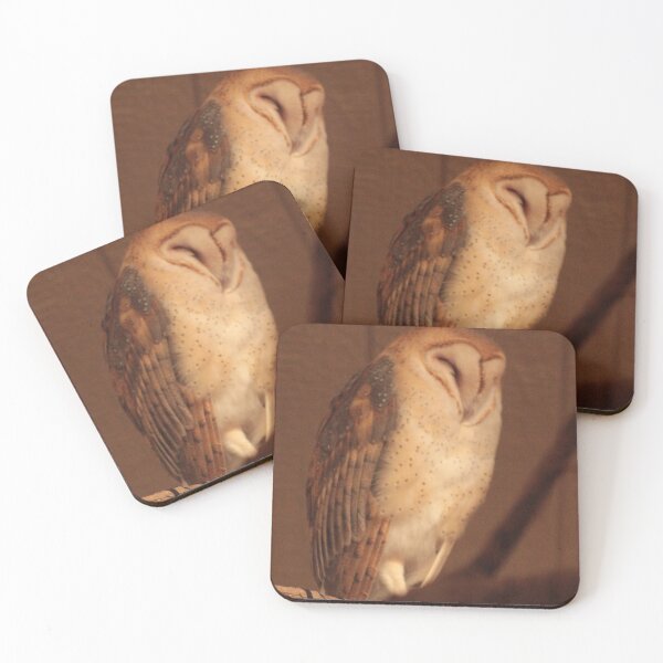 Item preview, Barn Owl designed and sold by Eco-Artopia.