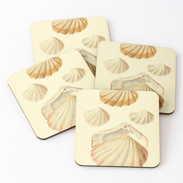 Item preview, Vintage seashell collage digital print designed and sold by dcrc.