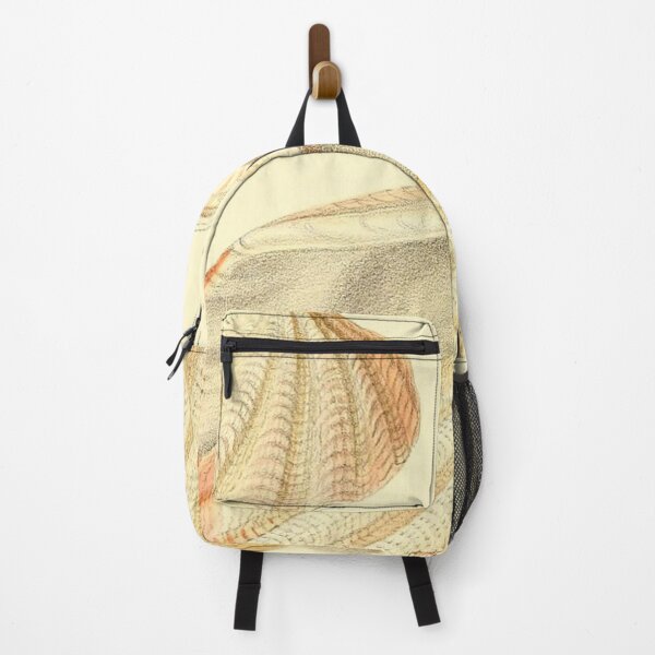 Item preview, Vintage seashell collage digital print designed and sold by dcrc.