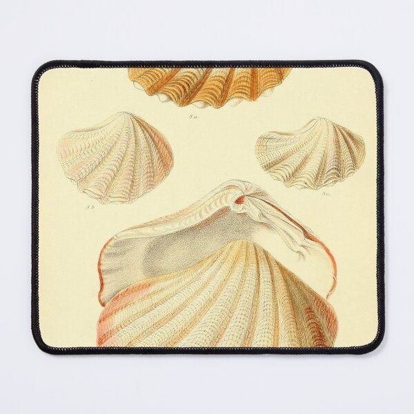 Item preview, Vintage seashell collage digital print designed and sold by dcrc.