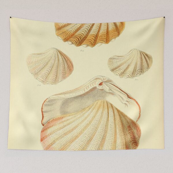 Item preview, Vintage seashell collage digital print designed and sold by dcrc.