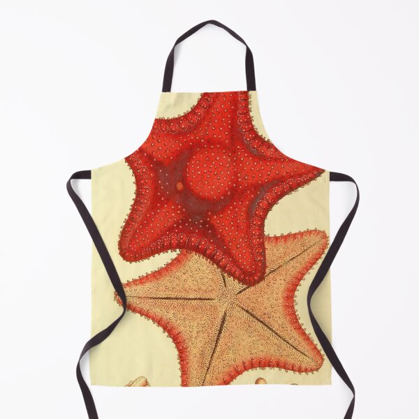 Item preview, Vintage starfish digital print designed and sold by dcrc.